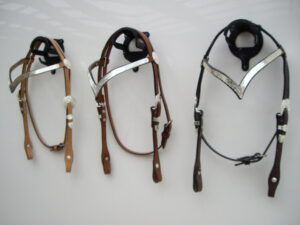ALS Show V Front Bridle