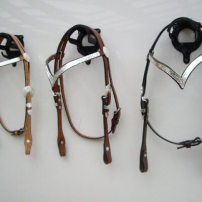 ALS Show V Front Bridle