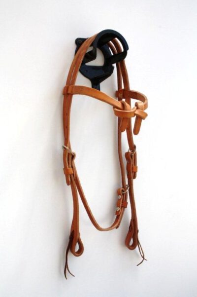 ALS Trainings Futurity bridle Harness