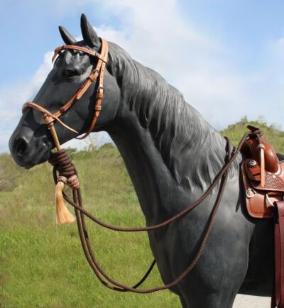 Bosal Set