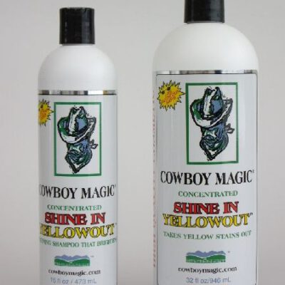 Cowboy Magic Yellow Out