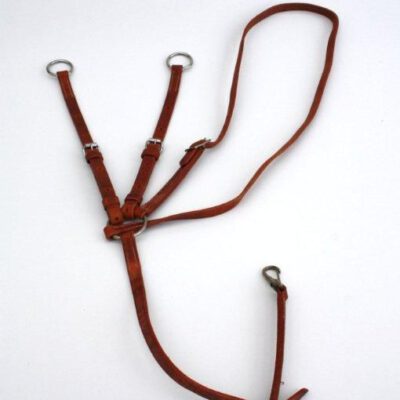 Martingale Harness