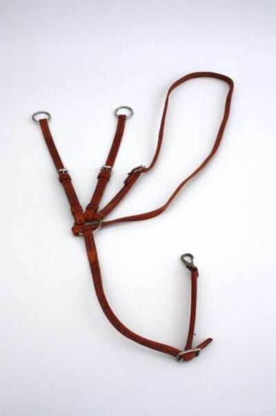 Martingale Harness