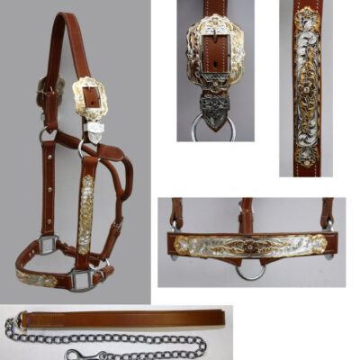 Premium Light Show Halster Gold Silver Stones and Leadrope