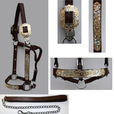 Premium Dark Show Halster Gold Silver Stones and Leadrope