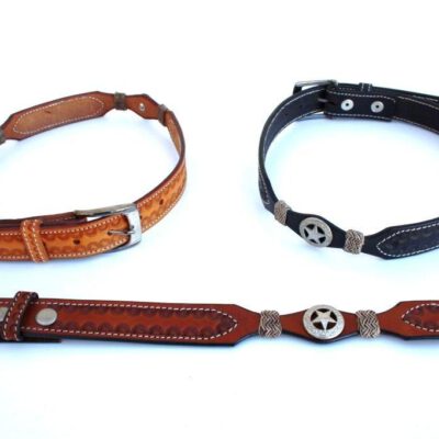 Rawhide and Concho Belt