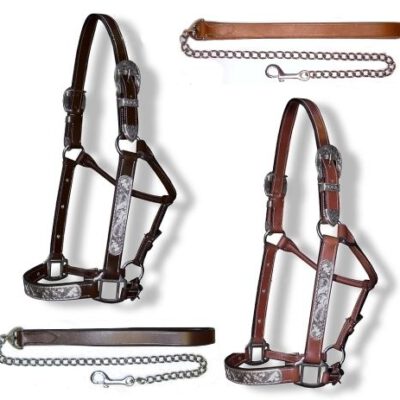 Show Halster Silver met Leadrope