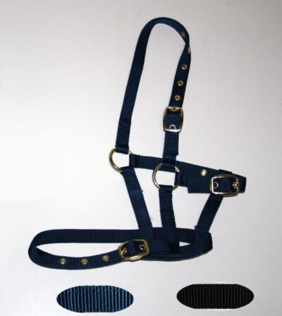 Foal Halter