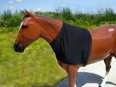 Stretch Rug