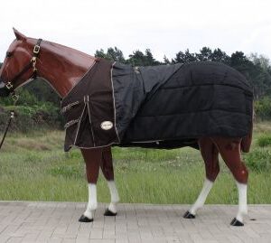 Rain winter blanket 500gr. filling 1680D