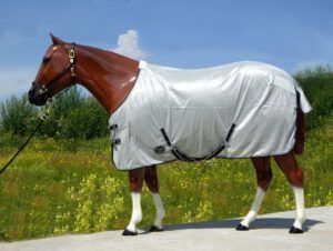 Flysheet Top Score