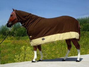 Sweat blanket with neck Top Score II