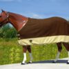 Zweetdeken Top Score - Afbeelding 3