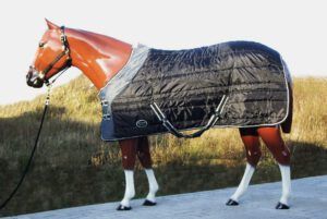Tough Horse Thermo Winterdeken 210D 300 grams vulling