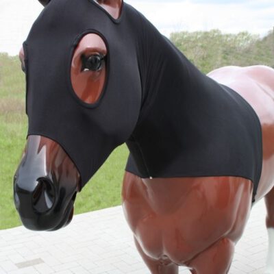 Stretch Hood