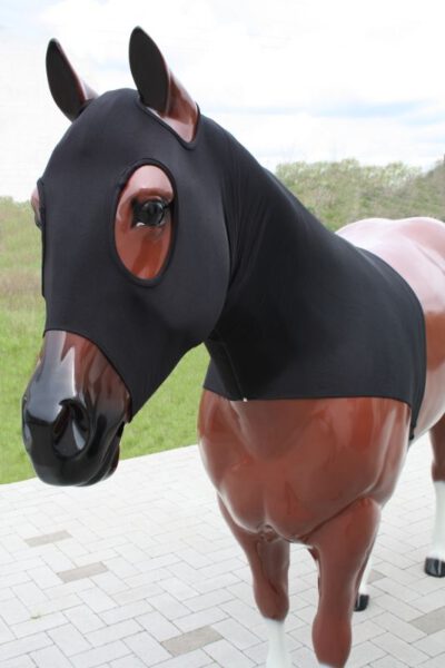 Stretch Hood