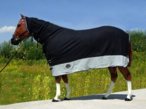 Sweat blanket with neck Top Score II - Image 2