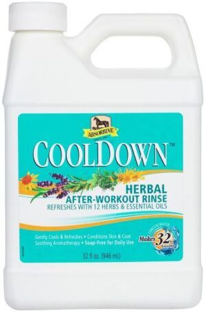 Absorbine  COOL DOWN  Waschlotion  946ml
