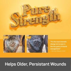 ABSORBINE Silver Honey Rapid Wound Repair Creme  56,7gr Tube - Afbeelding 5