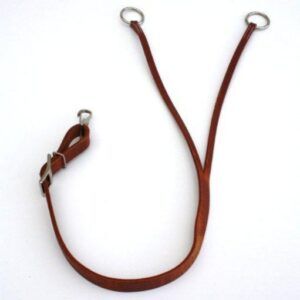 Trainings Fork Harness