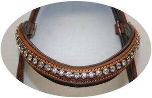 SN Tack Straight Front Bridle