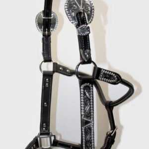 Premium Show Halster Silver Dark Brown Oiled Cob